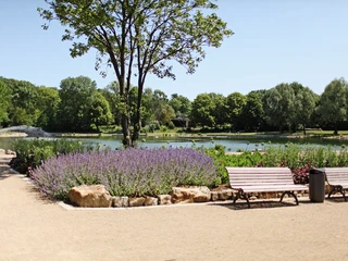 Erlebnis-Kurpark Bad Laer Het moderne kuurpark in kuuroord Bad Laer in het Osnabrücker Land met de Glockensee en bloemenZwei Bänke am Teichufer, umgeben von blühenden Sträuchern und grünen Bäumen.