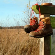 Aschendorfer Moorpfad