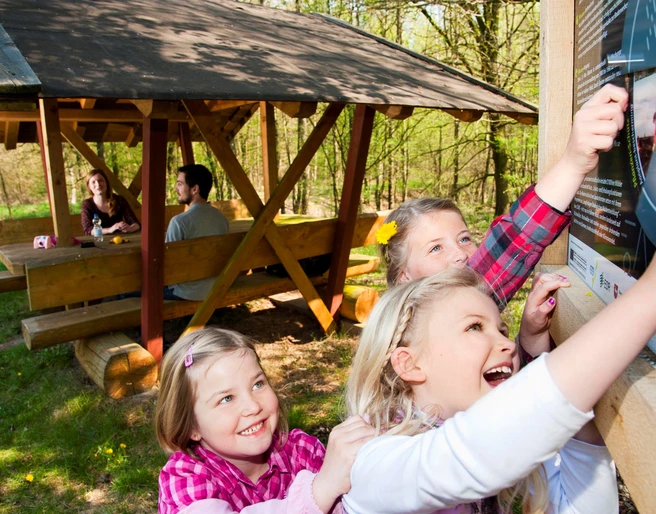 Löwenzahnentdeckertouren Fullener Wald