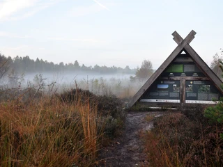 Löwenzahnentdeckertouren Fullener Wald