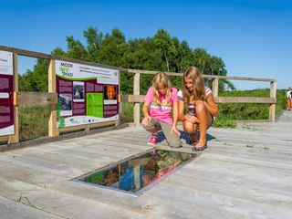 MoorInfoPfad Esterwegen