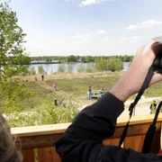 Vogelbeobachtungsturm am Bargerveen