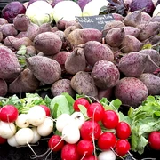 Hof Heringhaus in Bad Iburg