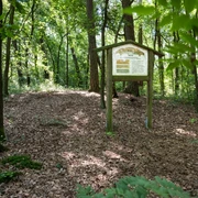 Hügelgräber in den Königstannen