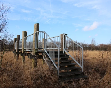 Aussichtsplattform am Naturschutzgebiet Hengstkampkuhlen