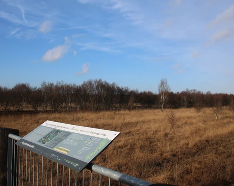 Aussichtsplattform am Naturschutzgebiet Hengstkampkuhlen