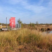 Aussichtsplattform im Geestmoor