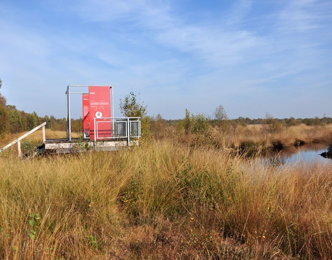 Aussichtsplattform im Geestmoor