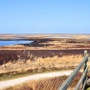 Aussichtshügel im Dalum-Wietmarscher Moor