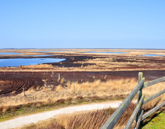 Aussichtshügel im Dalum-Wietmarscher Moor