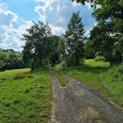 Waldwiesental genannt Taubenloch