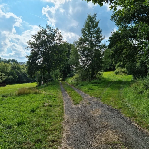 Waldwiesental genannt Taubenloch