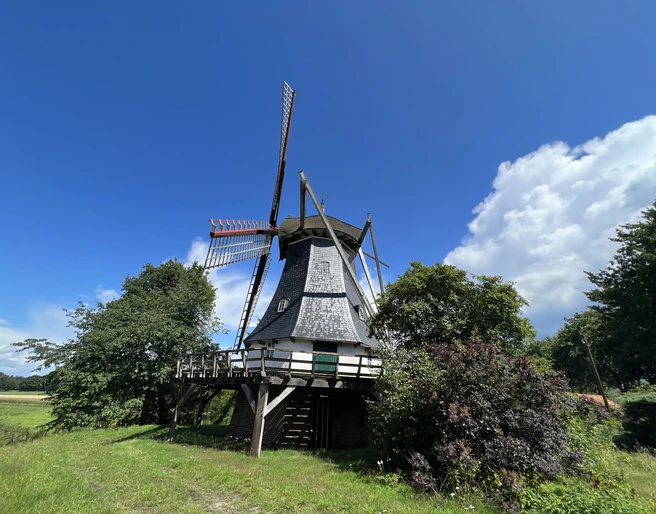 Schmomühle Historische Mühle mit Holzschindeldach und rot-weißen Flügeln, umgeben von Bäumen und blauem Himmel.