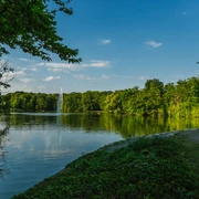 Stadtwald Forest Blick auf einen ruhigen Waldsee im Kölner Stadtwald. Dunkelgrünes Laub spiegelt sich im Wasser.View of a quiet forest lake in Cologne's city forest. Dark green leaves are reflected in the water.