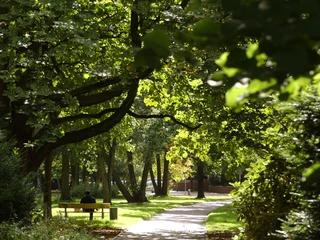 Friedrich-Wilhelm-Park