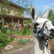 arche-alfsee-osnabruecker-land-c-archealfsee