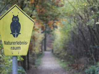 burger_waldmuseum_luftkurort_burg-1