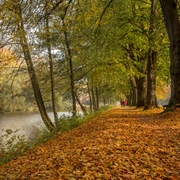 Herbstspaziergang im Stadtpark