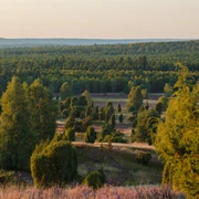 wilseder-berg-heidelandschaft