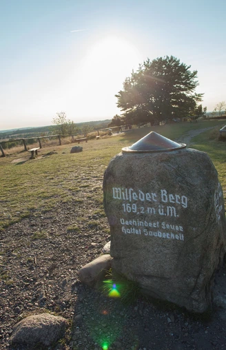 Stein auf dem Wilseder Berg