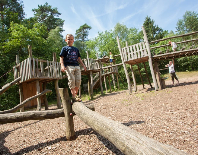 abenteuerspielplatz-bispingen-kinder Der Abenteuerspielplatz Bispingen zeigt lachende Kinder, die auf Holzspielgeräten balancieren und klettern, umgeben von Wald.