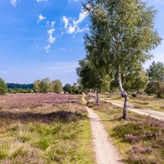 Wanderweg Niederhaverbeck