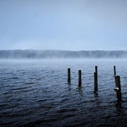 Ratzeburger See_Nov. 11 2019_003566.jpg