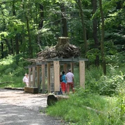 baumwurzelpfad-bad-harzburg