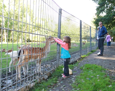 wildgehege-bad-harzburg