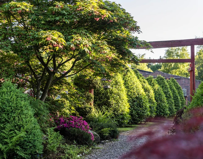 garten-landhof-tausendschoen-apen-3 Ein malerischer Garten mit üppigem Grün, einem Schatten spendenden Baum und blühenden Büschen säumt einen Kiesweg, der von einem rustikalen Holzbogen akzentuiert wird.