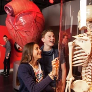 Continium - Discovery Center Zwei Jugendliche stehen vor einer Vitrine mit einem Skelett und staunen.