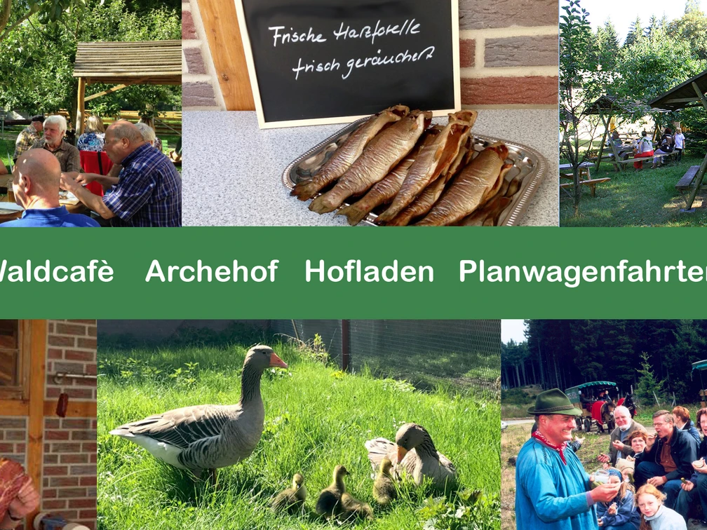 waldcafe-jungborn-bad-harzburg