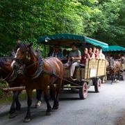 kutsch-und-planwagen-fahrten-bad-harzburg