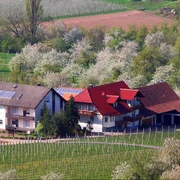 Winzerhof Ingrid und Winfried Laible