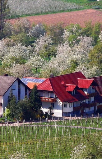 Winzerhof Ingrid und Winfried Laible