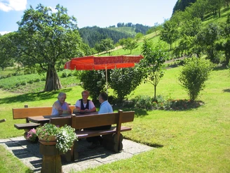 Sitzgelegenheit Garten