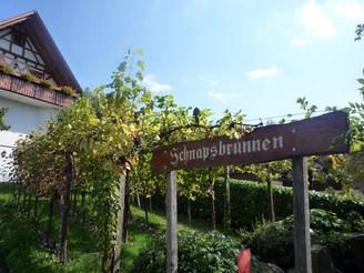 Auf zum Schnapsbrunnen