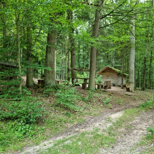 20210811 Anton Günstplatz im Alten wald Naumburg