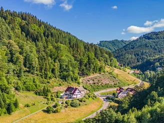 Blick ins Lierbachtal