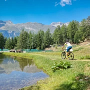 Biotop bei den Sport- und Freizeitanlagen