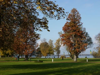 goldener-herbst-am-meer