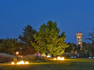 illumination-beleuchteter-turm-und-baum