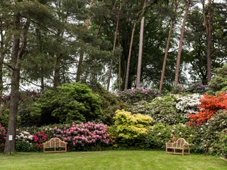 parks-rhododendronpark-westerstede