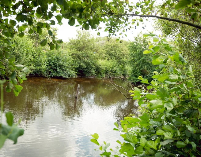 Goldfischteiche Juist