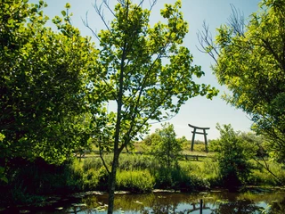 Goldfischteiche Juist