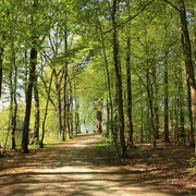 09-04-20_006-schlosspark-s-kalbfleisch