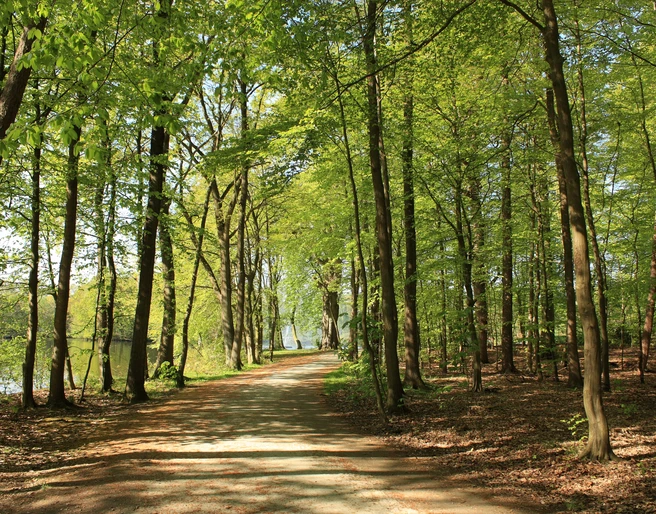 09-04-20_006-schlosspark-s-kalbfleisch