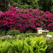 garten-zu-jeddeloh-edewecht-2