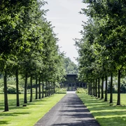 Allee zum Parkpavillion Die Allee, flankiert von symmetrisch gepflanzten Bäumen, führt zu einem elegantem Parkpavillon.