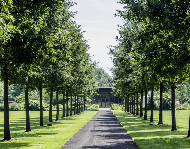 Allee zum Parkpavillion Die Allee, flankiert von symmetrisch gepflanzten Bäumen, führt zu einem elegantem Parkpavillon.